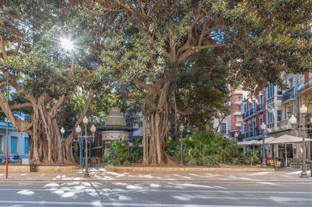 ALICANTE, SPAIN - JANUARY 18, 2023: View of El Portal de Elche, a central square in Alicante, Spain, with four large Ficus macrophylla trees that are protected by lawのeditorial素材