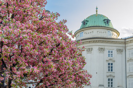 INNSBRUCK, AUSTRIA - JULY 11, 2015: The Hofburg (Court Castle), former Habsburg palace in Innsbruck, Austria. Today, the Hofburg contains five themed museum areasのeditorial素材