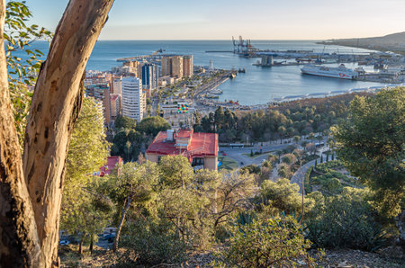 MALAGA, SPAIN - JANUARY 26, 2020: Aerial view of Malaga, Spain, from Mount Gibralfaro. View of Muelle Uno, an open-air shopping center and pier located in the port of Malagaのeditorial素材