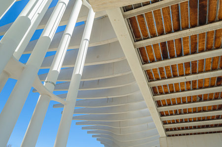 MALAGA, SPAIN - JANUARY 27, 2020: Modern architecture, detail of the pergola of the Palmeral de las Sorpresas (palm grove of surprises), a modern port promenade in Malaga, Spain, inaugurated in 2011のeditorial素材