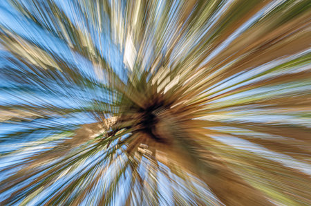 Palm tree on blue sky backgroundの写真素材