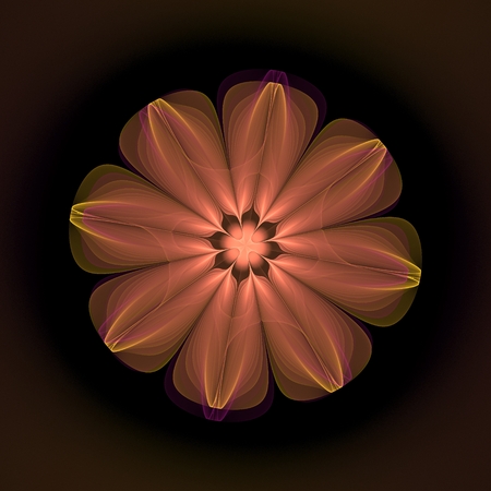 Dark fractal flower, digital artwork for creative graphic design.の写真素材