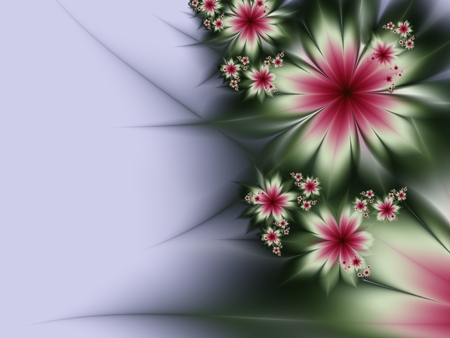 Fractal image of color flowerの写真素材