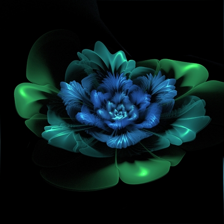 Dark fractal flower, digital artwork for creative graphic design. Template for insert text.の写真素材