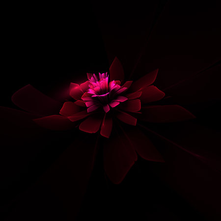 A fantastic image of a rendered fractal flower on a dark background. Original background for your graphic design. Light floral pattern.の写真素材