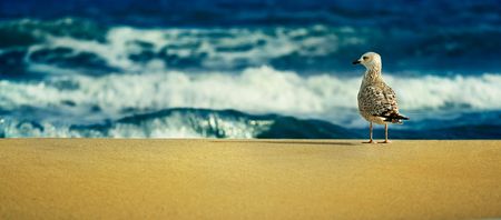 I Wish...の写真素材