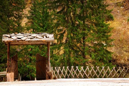 Fence in forestの写真素材