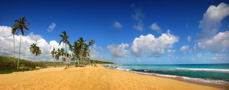Tropical exotic beach, Punta canaの写真素材
