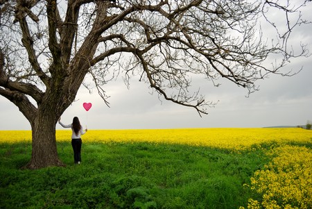 Beautiful girl with balloon in the fieldの写真素材