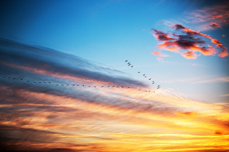 Orange cloudscape and dramatic blue sky, sunset shot 