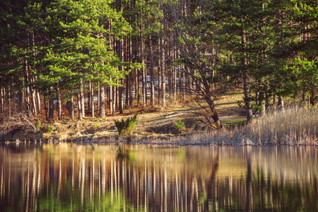 Mountain lake, tree reflection, autumn shot の写真素材