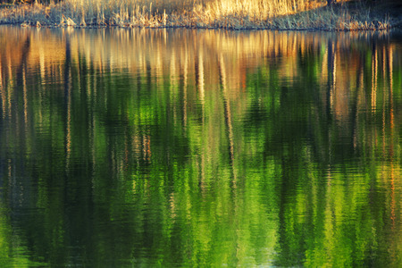 Mountain lake, tree reflection, autumn shotの写真素材