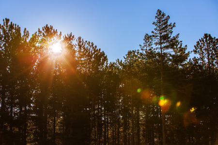 Beautiful autumn landscape in the mountains  Sunrise の写真素材
