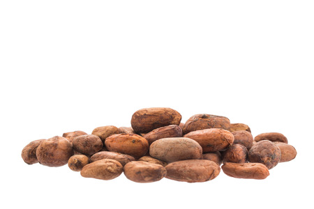 Cacao beans isolated over whiteの写真素材