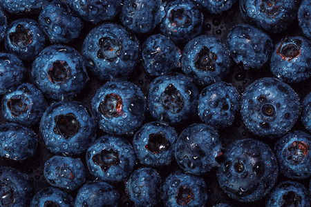 Fresh Blueberries isolated on black backgroundの写真素材