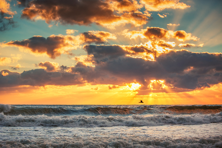 Early morning sunrise over the sea and a flying bird, sunrise shotの写真素材