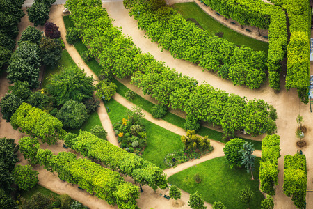 Tuileries garden in Paris, France, perspective viewの写真素材