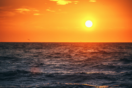 Sea wave close up, low angle view, sunrsie shot