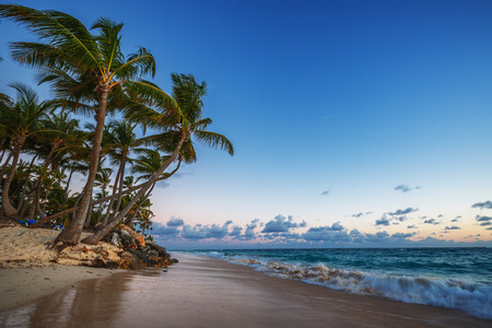 Caribbean wild beach, Punta Cana, sunrise shotの写真素材