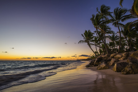 Caribbean wild beach, Punta Cana, sunrise shotの写真素材