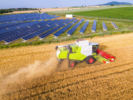 Aerial view on the combine working on the large wheat field