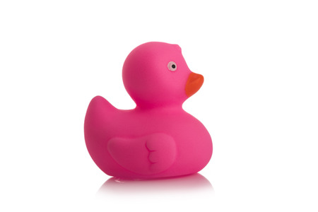Pink rubber duck on White Backgroundの写真素材
