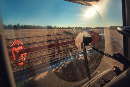 Combine harvester agriculture machine harvesting golden ripe wheat field
の写真素材