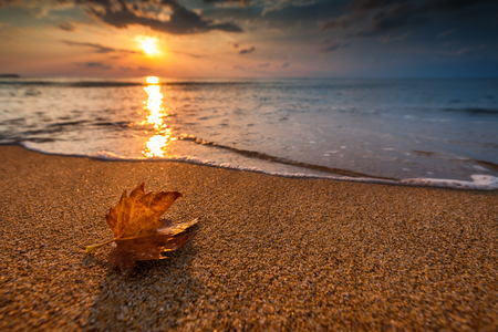 Beautiful cloudscape over the sea, sunrise shot
の写真素材