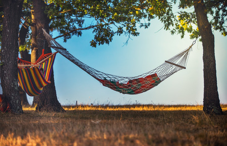Relaxing in the travel hammock in the forestの写真素材