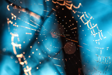 Spiderweb with dewdrops on blue background.の写真素材