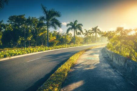 Beautiful tropical garden and pathway toward luxury resort in Punta Cana, Dominican Republicの写真素材