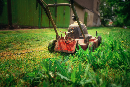 Lawn mower cutting green grass in backyard. Gardening background.の写真素材