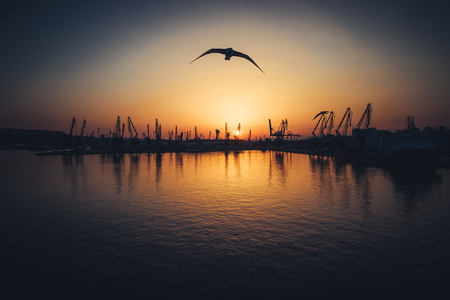 Aerial view of Varna sea port and industrial cranes,  Bulgariaの写真素材