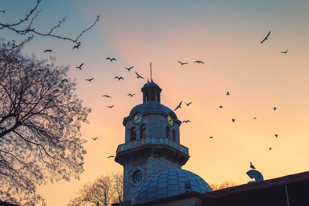 Clock tower in the city centre of Varna, Bulgaria and flying seagull birds against sunset sky.の写真素材
