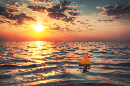 Yellow rubber duck toy floating in sea water. Beautiful sunrise on the beach.