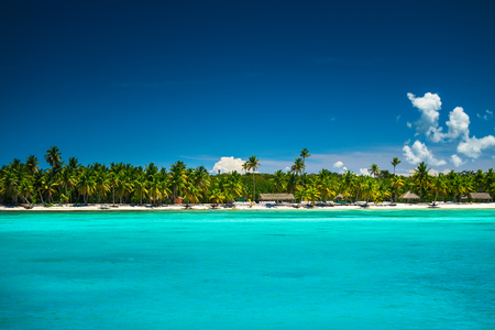 Tropical beach in Punta Cana, Dominican Republicの写真素材