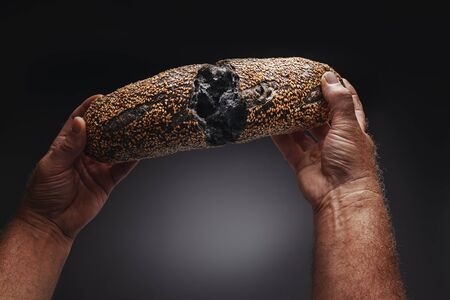 Homemade sourdough bread baguette and baker hands on black background. Food.