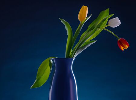 Bouquet of colorful tulips on blue background.の写真素材