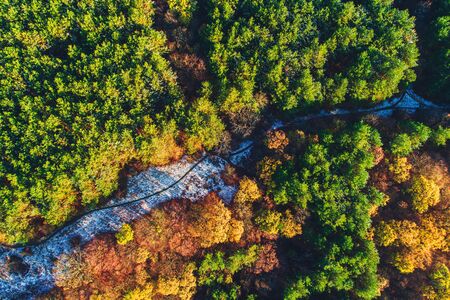 Aerial view of frozenroad in forest of pine and fir trees in the mountain.の写真素材