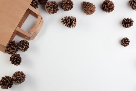 Holiday decoration with fir cones and shopping paper bag isolated on white backgroundの写真素材