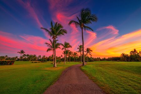 Tropical golf course at sunset, Dominican Republic, Punta Cana