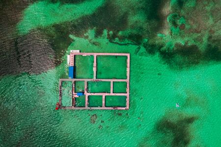 Dolphins, sharks, stingray in caribbean sea pool park. Swimming with fish. Aerial view.の写真素材