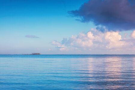 Sea sunrise and dolphins island park pool in the water.の写真素材