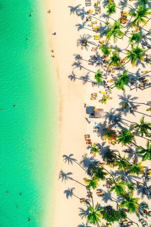 Aerial view of caribbean resort, Bavaro, Dominican Republicの写真素材