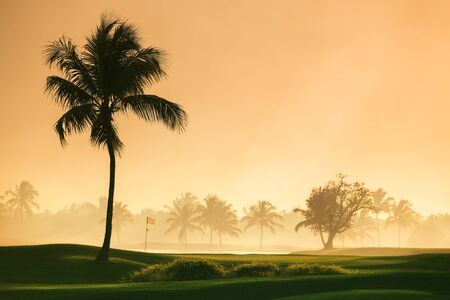 Golf course in the tropical island