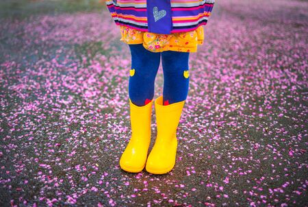 Little girl with rubber yellow boots walking in the park after the rain. Kid playing into background floor of fallen blossoms of tree.の写真素材