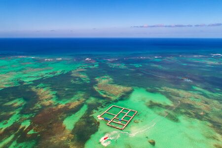 Dolphins, sharks, stingray in caribbean sea pool park. Swimming with fish. Aerial view.の写真素材
