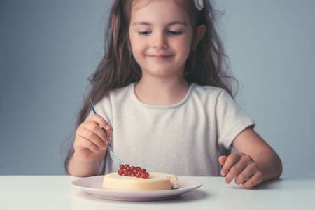 Homemade tasty cheesecake with chocolate in a plate isolatedの写真素材