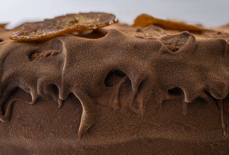 Chocolate homemade cake with nuts and apricot jelly on white backgroundの写真素材