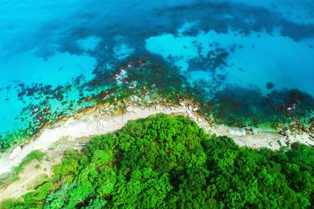 Aerial view of wild beach and forestの写真素材